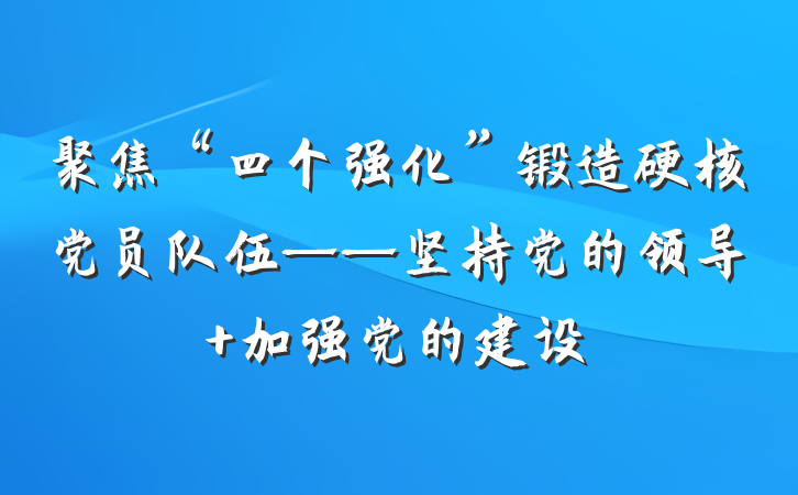 聚焦“四个强化”锻造硬核党员队伍——坚持党的领导 加强党的建设