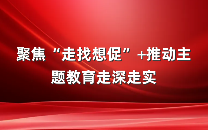 聚焦“走找想促” 推动主题教育走深走实