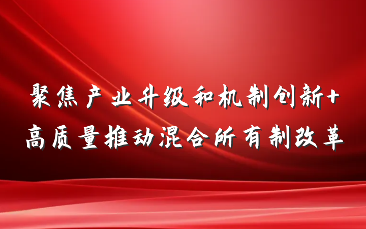 聚焦产业升级和机制创新 高质量推动混合所有制改革