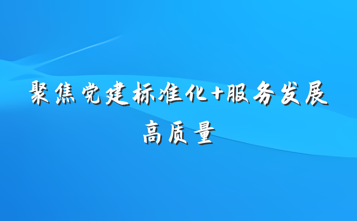 聚焦党建标准化 服务发展高质量