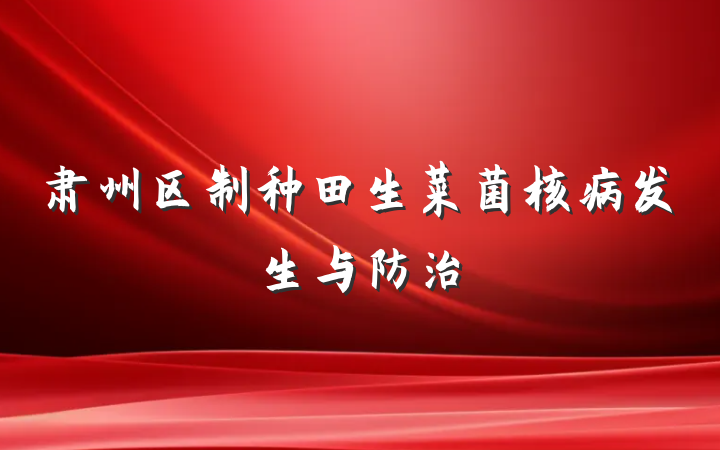 肃州区制种田生菜菌核病发生与防治