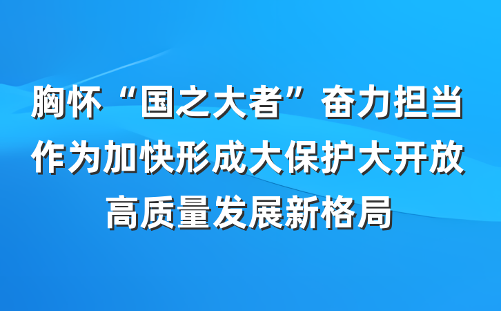 胸怀“国之大者”奋力担当作为加快形成大保护大开放高质量发展新格局