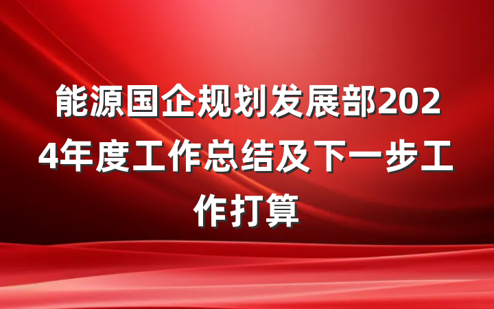 能源国企规划发展部2024年度工作总结及下一步工作打算