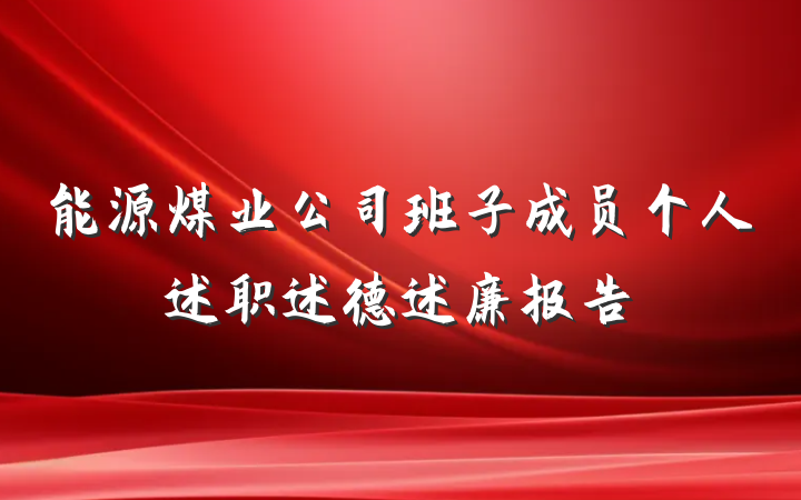 能源煤业公司班子成员个人述职述德述廉报告