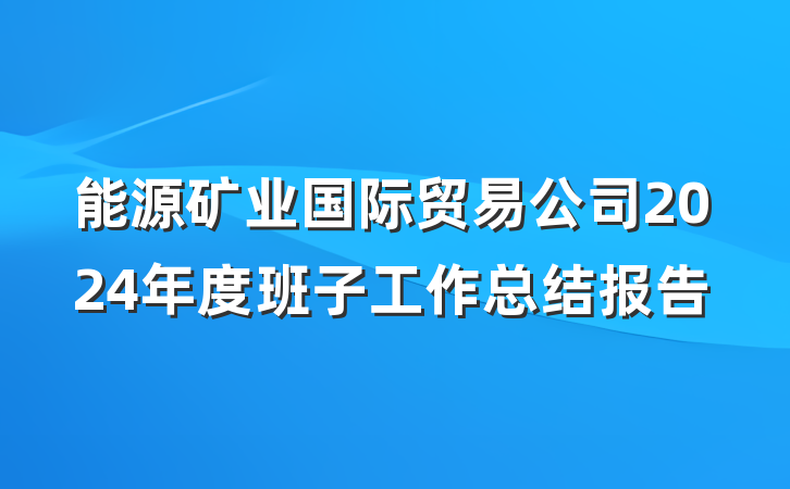 能源矿业国际贸易公司2024年度班子工作总结报告