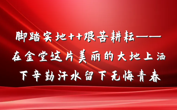脚踏实地  艰苦耕耘——在金堂这片美丽的大地上洒下辛勤汗水留下无悔青春