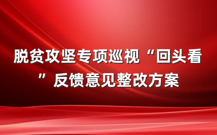 脱贫攻坚专项巡视“回头看”反馈意见整改方案