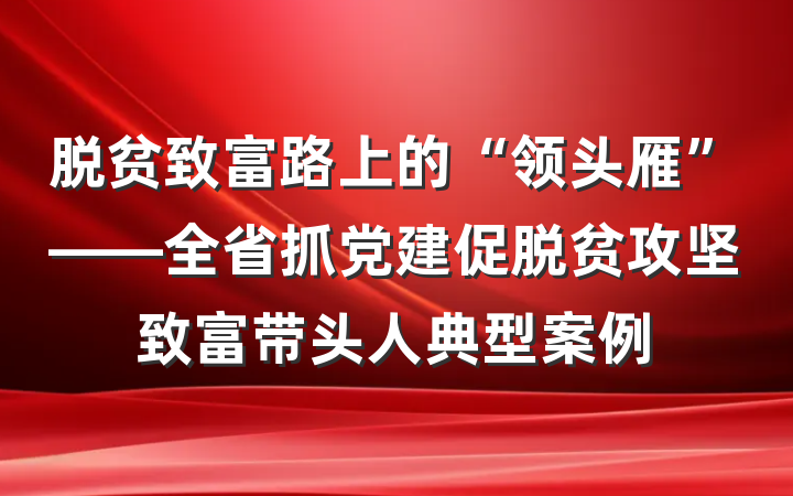 脱贫致富路上的“领头雁”——全省抓党建促脱贫攻坚致富带头人典型案例