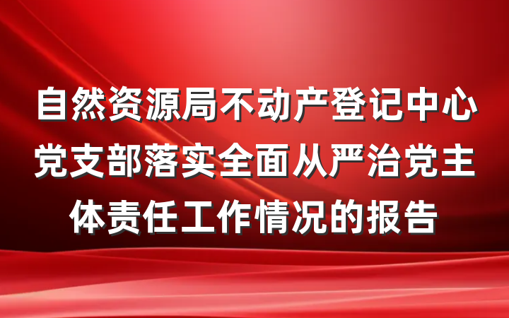 自然资源局不动产登记中心党支部落实全面从严治党主体责任工作情况的报告