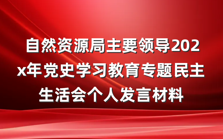 自然资源局主要领导202x年党史学习教育专题民主生活会个人发言材料