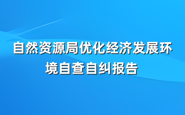 自然资源局优化经济发展环境自查自纠报告