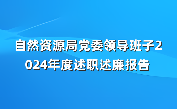 自然资源局党委领导班子2024年度述职述廉报告