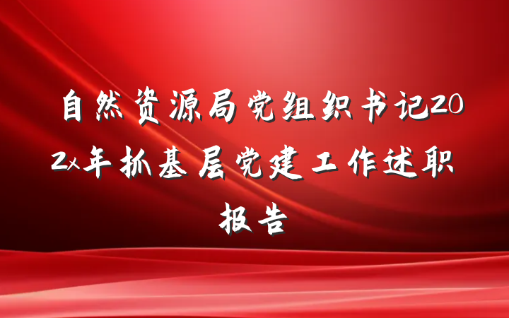自然资源局党组织书记202x年抓基层党建工作述职报告