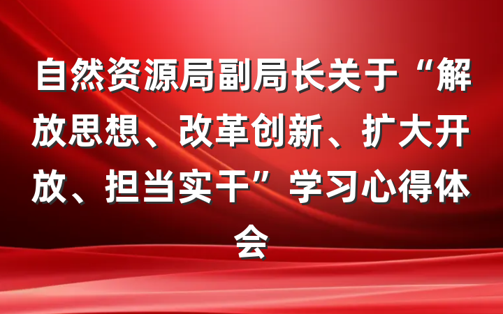 自然资源局副局长关于“解放思想、改革创新、扩大开放、担当实干”学习心得体会