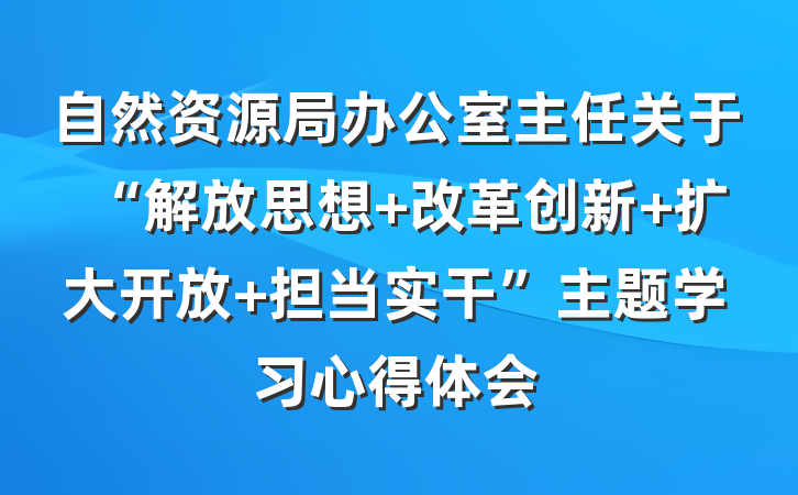 自然资源局办公室主任关于“解放思想 改革创新 扩大开放 担当实干”主题学习心得体会