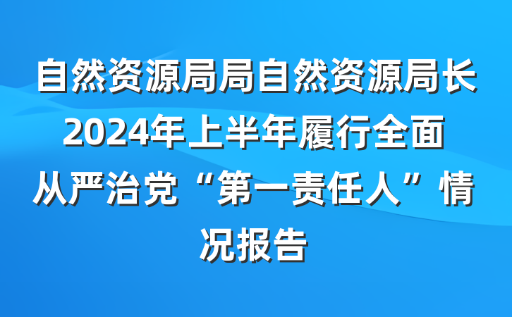 自然资源局局自然资源局长2024年上半年履行全面从严治党“第一责任人”情况报告