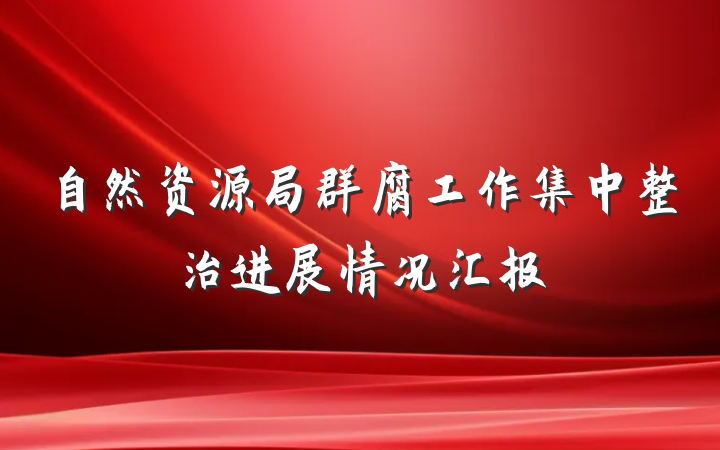 自然资源局群腐工作集中整治进展情况汇报