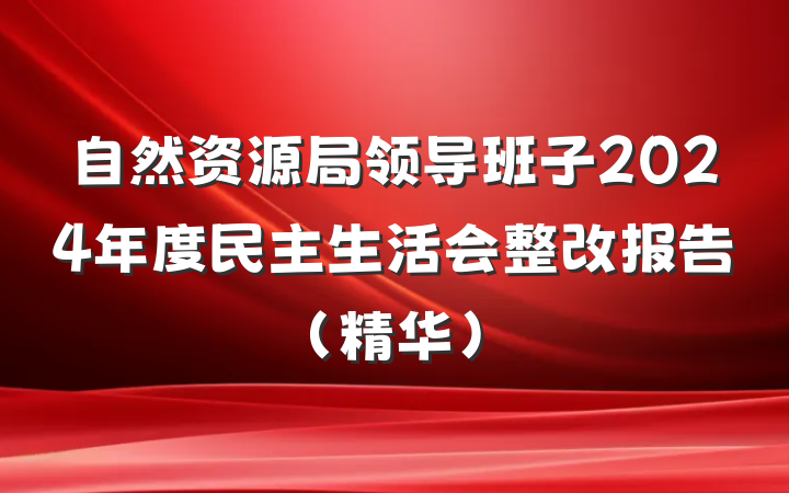 自然资源局领导班子2024年度民主生活会整改报告（精华）