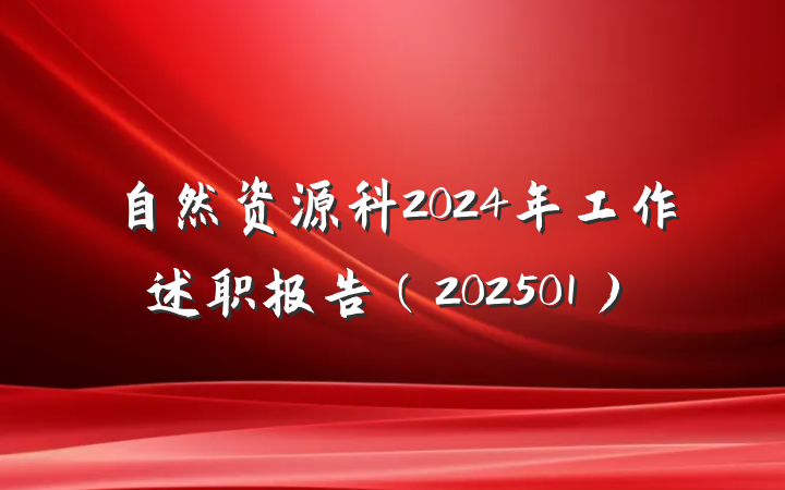 自然资源科2024年工作述职报告（202501）