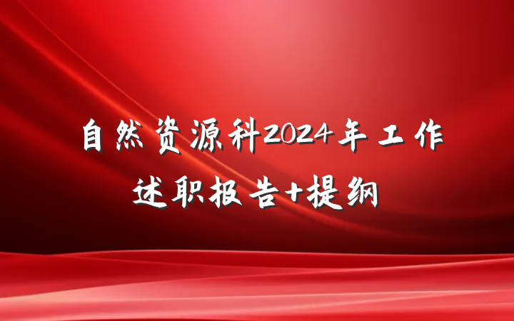 自然资源科2024年工作述职报告 提纲