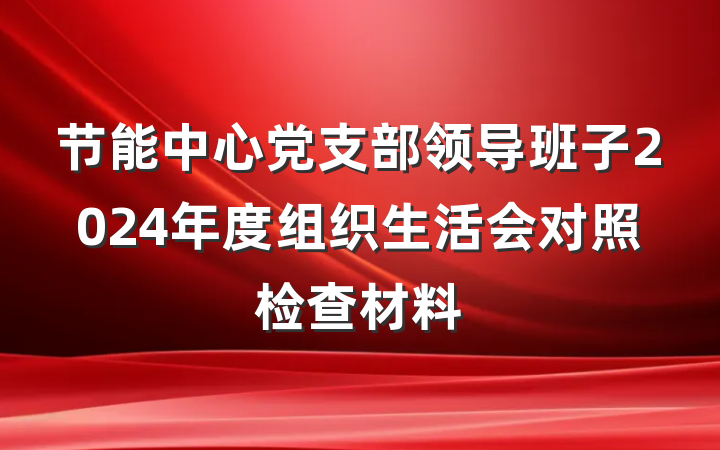 节能中心党支部领导班子2024年度组织生活会对照检查材料