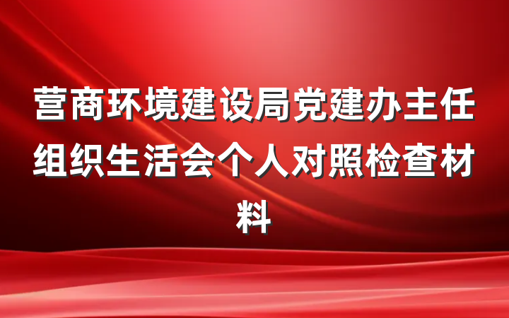 营商环境建设局党建办主任组织生活会个人对照检查材料