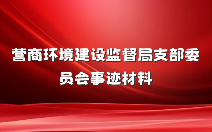 营商环境建设监督局支部委员会事迹材料