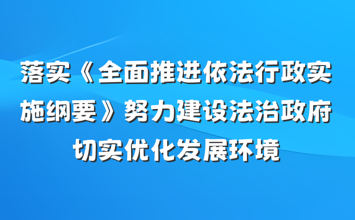 落实《全面推进依法行政实施纲要》努力建设法治政府切实优化发展环境
