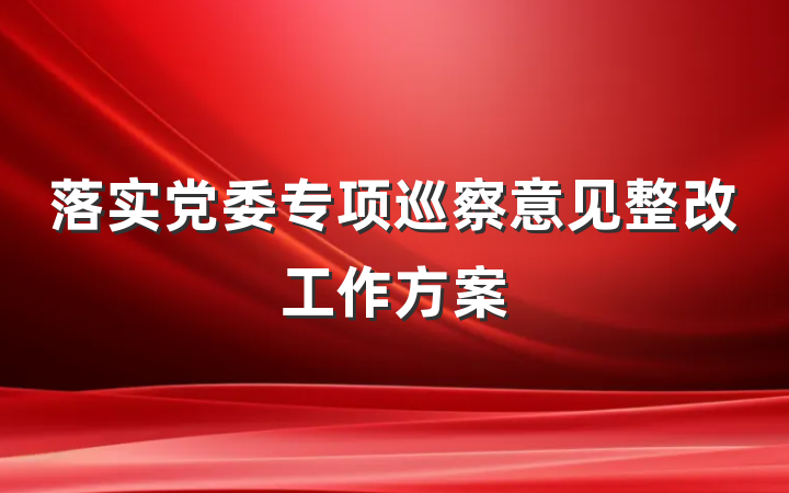 落实党委专项巡察意见整改工作方案