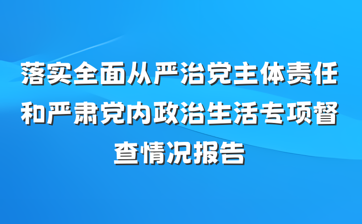 落实全面从严治党主体责任和严肃党内政治生活专项督查情况报告