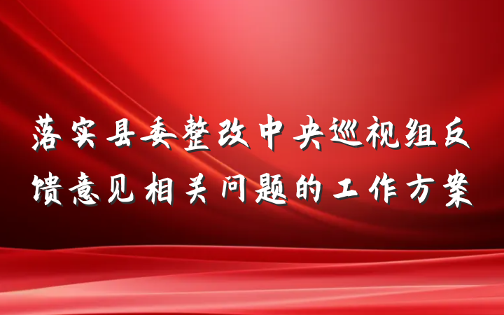 落实县委整改中央巡视组反馈意见相关问题的工作方案