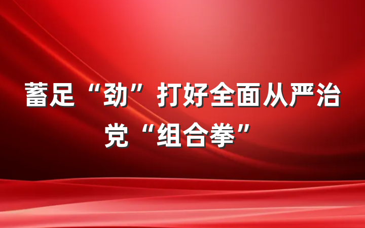 蓄足“劲”打好全面从严治党“组合拳”