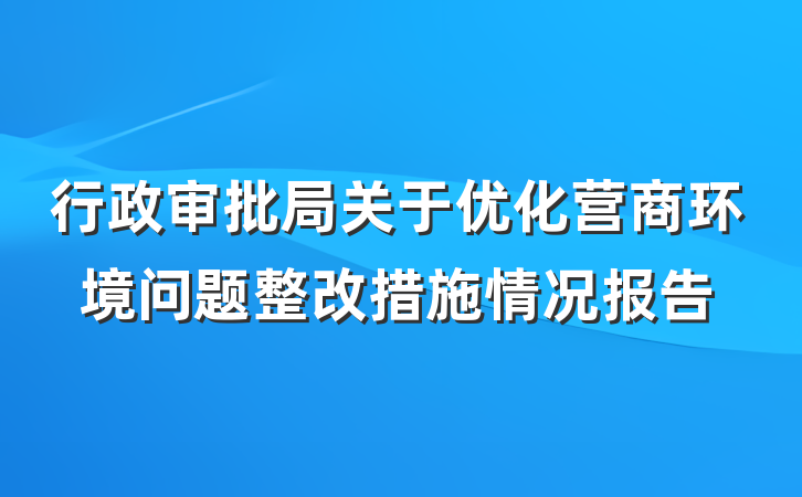 行政审批局关于优化营商环境问题整改措施情况报告