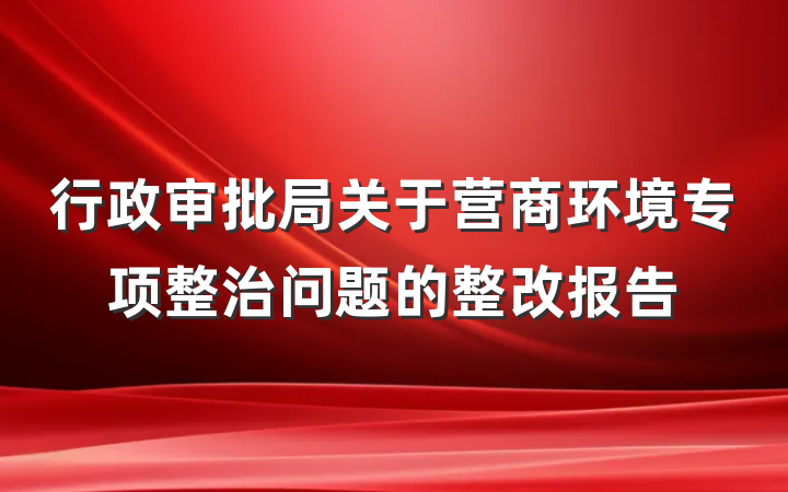 行政审批局关于营商环境专项整治问题的整改报告
