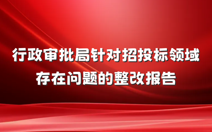行政审批局针对招投标领域存在问题的整改报告