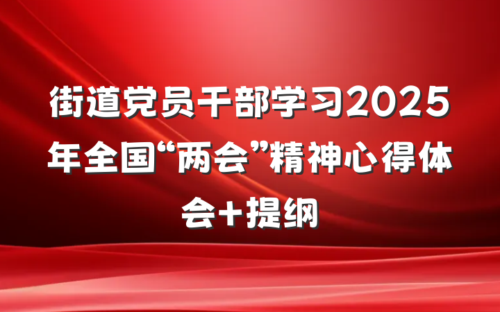 街道党员干部学习2025年全国“两会”精神心得体会 提纲