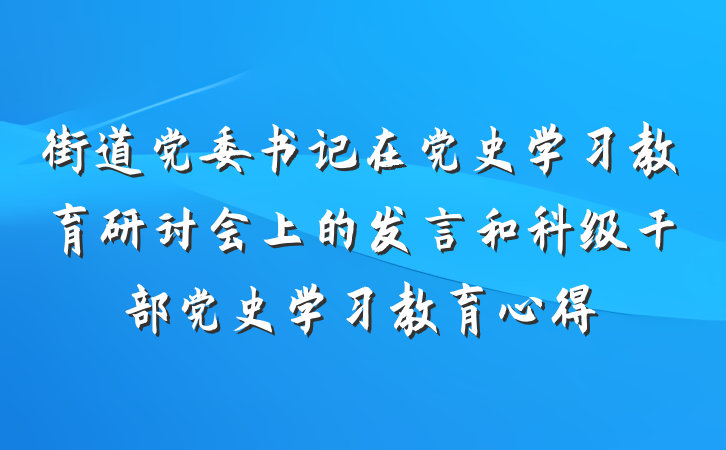 街道党委书记在党史学习教育研讨会上的发言和科级干部党史学习教育心得