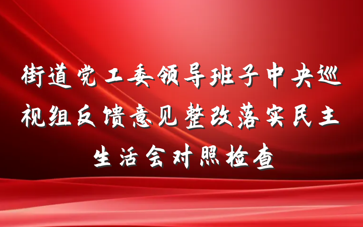 街道党工委领导班子中央巡视组反馈意见整改落实民主生活会对照检查