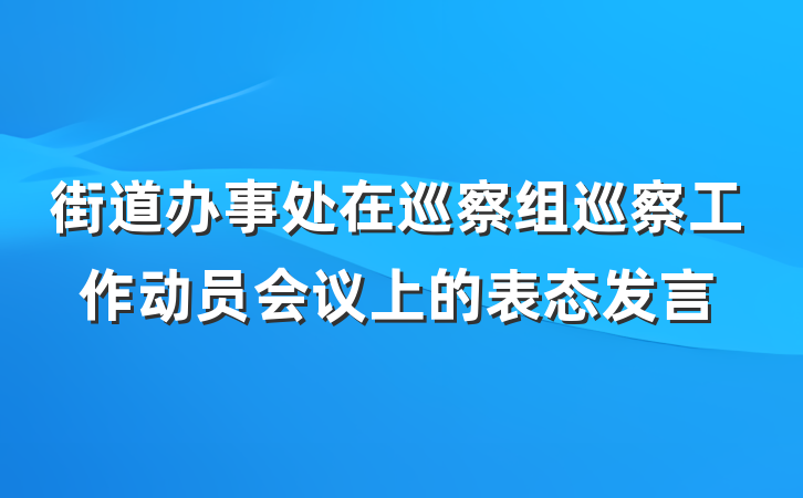街道办事处在巡察组巡察工作动员会议上的表态发言
