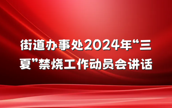 街道办事处2024年“三夏”禁烧工作动员会讲话
