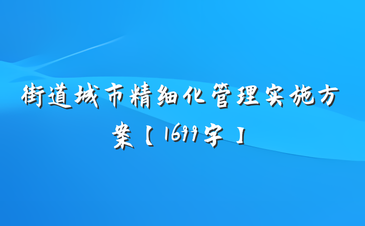 街道城市精细化管理实施方案【1699字】