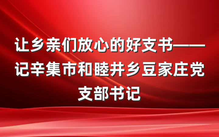 让乡亲们放心的好支书——记辛集市和睦井乡豆家庄党支部书记