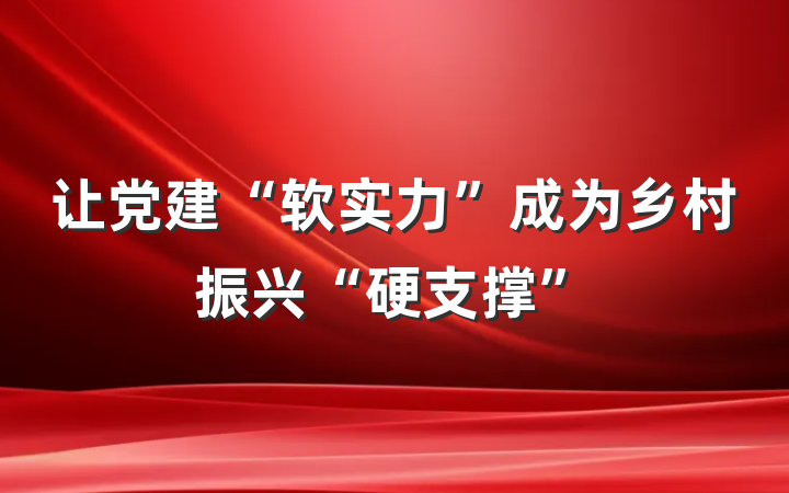 让党建“软实力”成为乡村振兴“硬支撑”