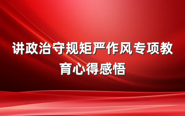讲政治守规矩严作风专项教育心得感悟
