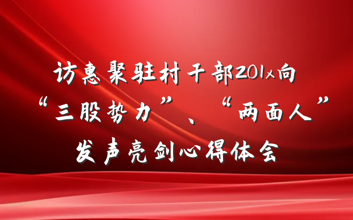 访惠聚驻村干部201x向“三股势力”、“两面人”发声亮剑心得体会
