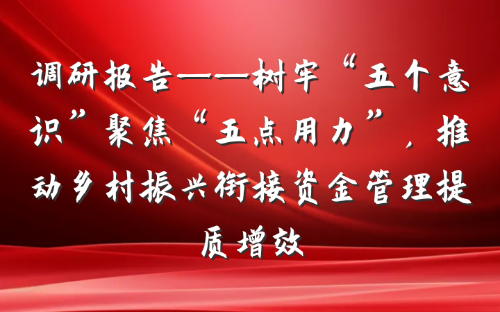 调研报告——树牢“五个意识”聚焦“五点用力”，推动乡村振兴衔接资金管理提质增效