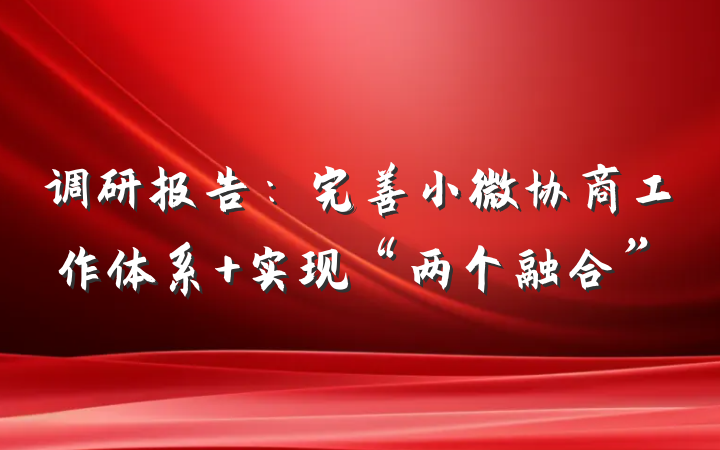 调研报告：完善小微协商工作体系 实现“两个融合”