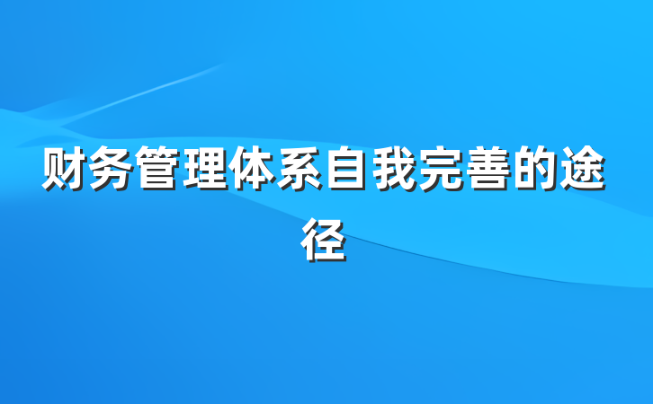 财务管理体系自我完善的途径