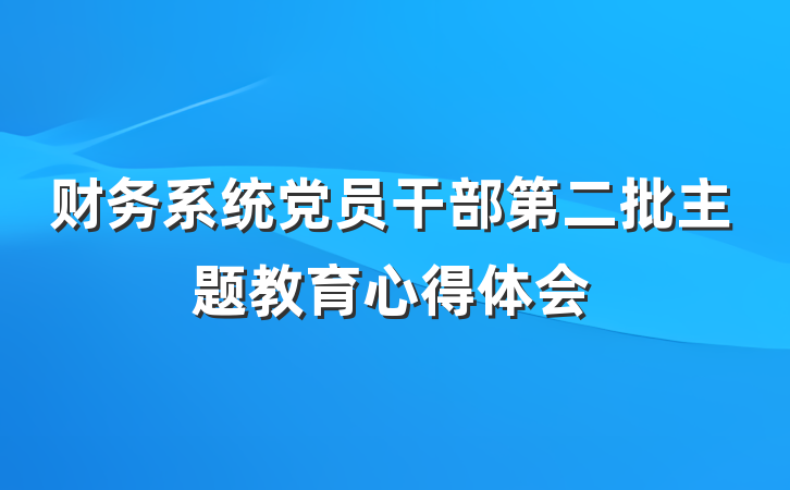 财务系统党员干部第二批主题教育心得体会