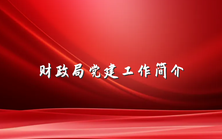 财政局党建工作简介